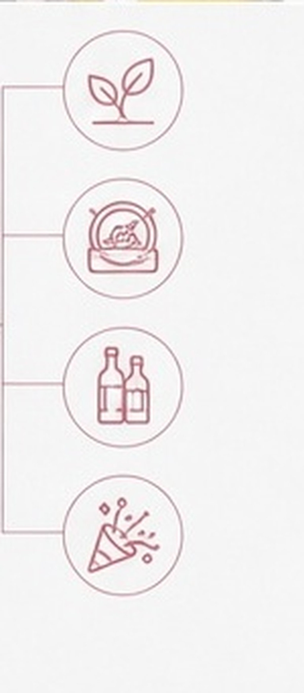 5 stuks siliconen flessenstopp - Wine Beer Hat recensie en prijs